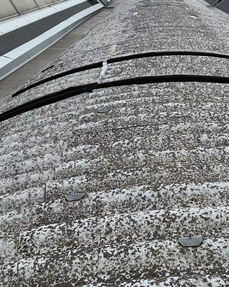 rimozione-amianto-da-coperture-industriali-ravenna